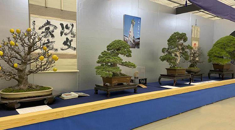 第38届日本盆景大观展览会将于2018年开幕