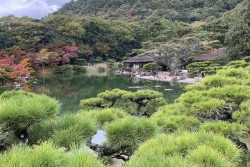 探索日本四国岛的高松盆景