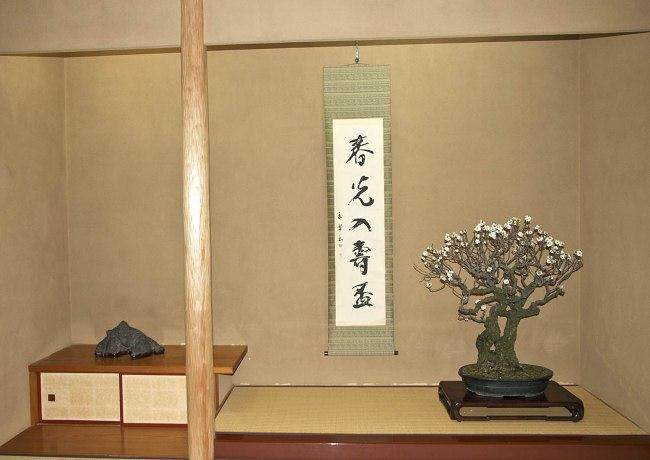 日本东京江户川地区的小林邦夫盆景博物馆
