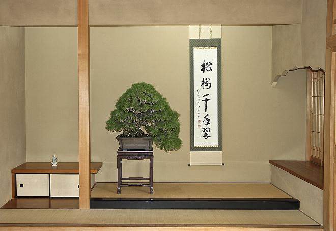 参观日本东京俊个先生的盆景博物馆