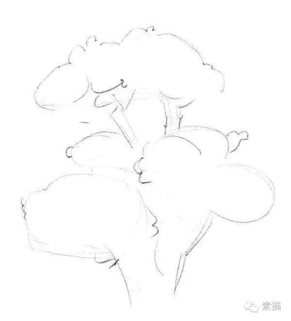 素描一棵榕树盆景的绘画技法