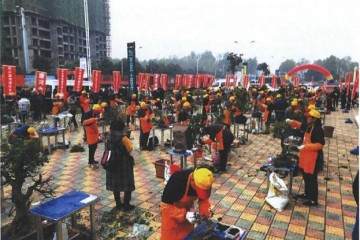南阳市唐河县拉开了第三届盆景创作大赛的序幕