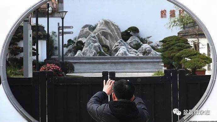 2019上海盆景赏石第一展在上海植物园举行