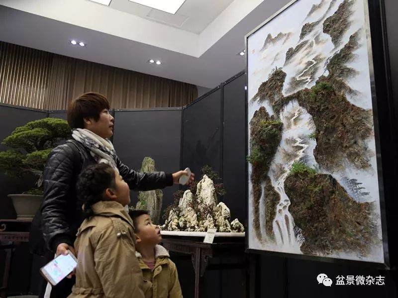 2019上海盆景赏石第一展在上海植物园举行
