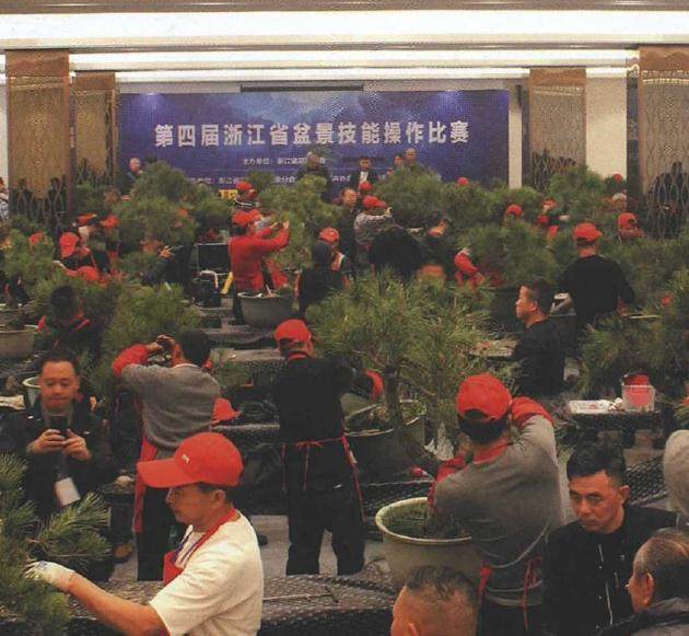 2018年 第四届浙江盆景技能操作比赛在温州举办