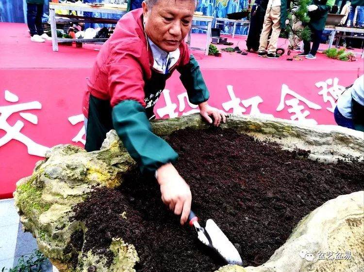 图解 刘传刚表演雨林式盆景的全过程
