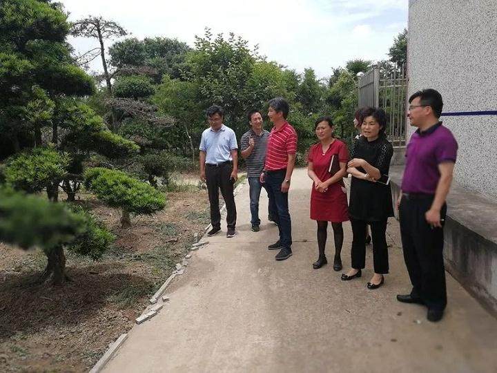 上海植物园领导赴港沿镇调研黄杨盆景资源