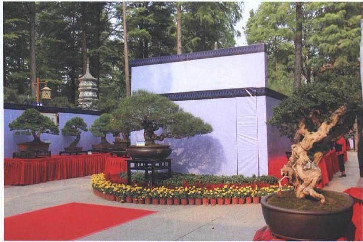 解放公园成为对外宣传武汉盆景的一个窗口