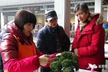 上海市盆景赏石协会理事 胡林波