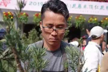 20位中外盆景青年将在上海植物园举办