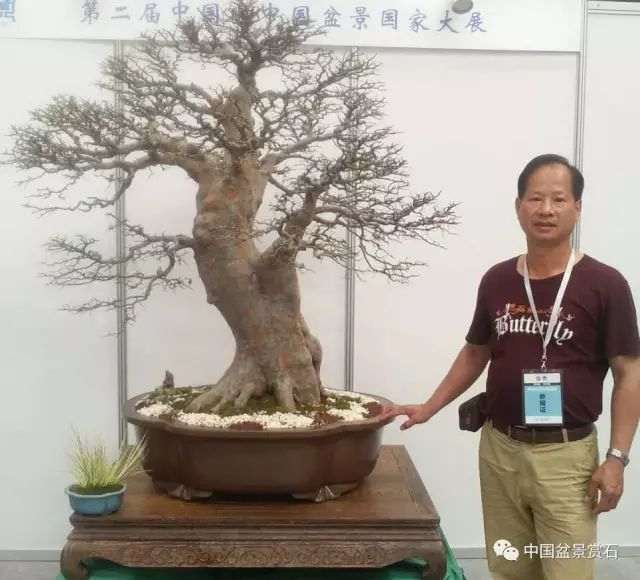 中国盆景艺术家协会第六届理事会理事 陈再米