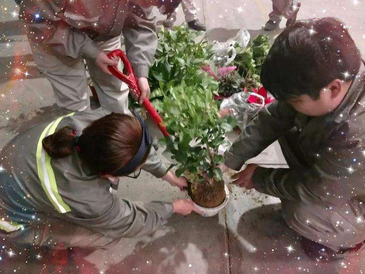 郑州PDC组织了一场以春为主题的盆景种植活动