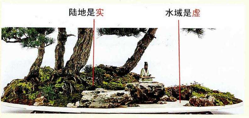 图解 制作树木盆景的虛实相宜技巧 5幅