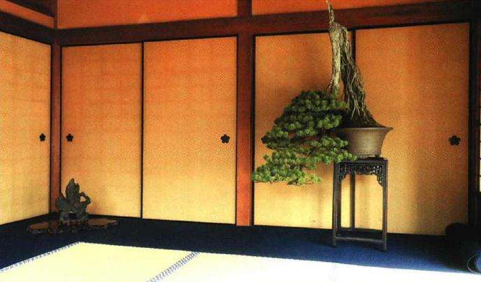 第11届京都黑松盆景展在大德寺中举办