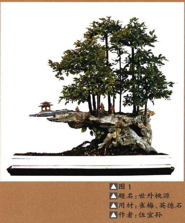 树石盆景的制作艺术表现
