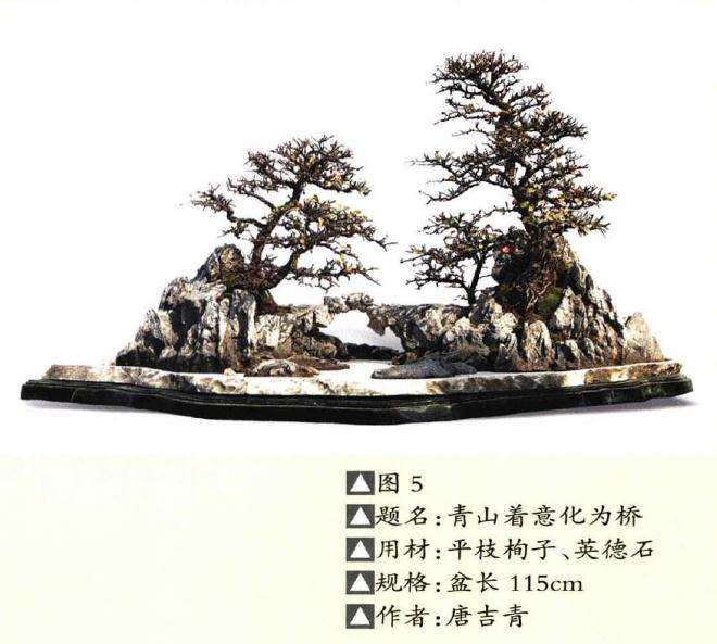 盆景作品中的树木