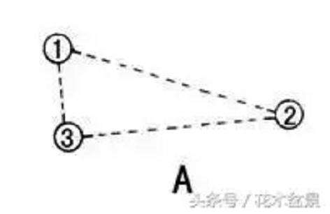 三株树盆景怎么组合的方法