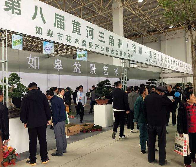 第八届黄河三角洲盆景交易博览会开幕