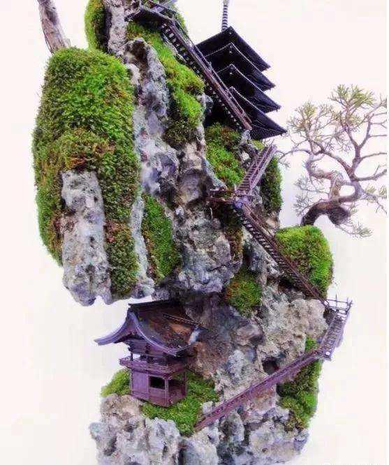 日本悬崖盆景的制作细节