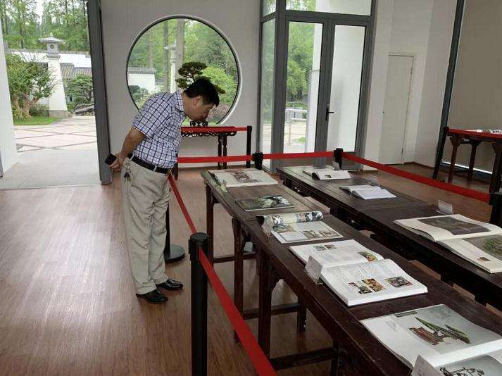 2019年 上海植物园盆景历史回顾展明日开幕