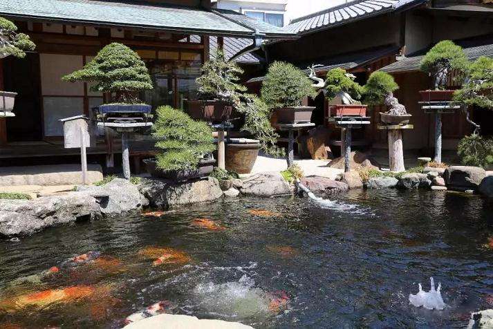 日本最美盆景园