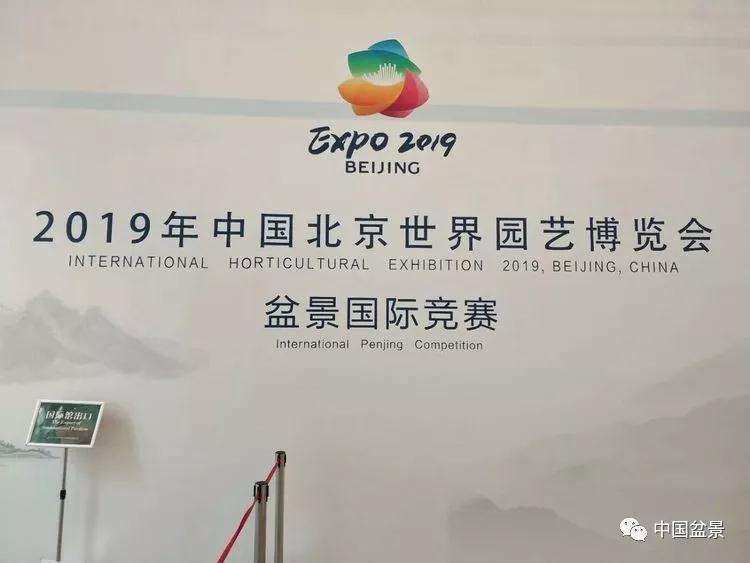 2019年8月 北京世界盆景园艺博览会