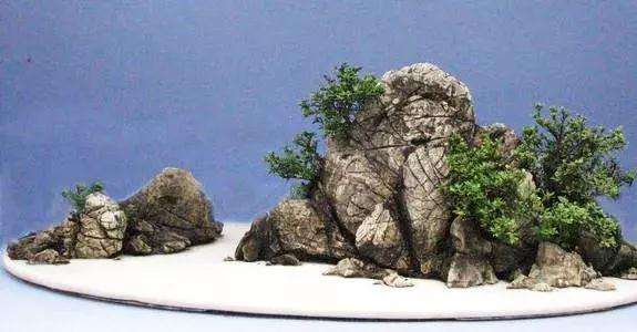 树石盆景怎么栽种植物与配石