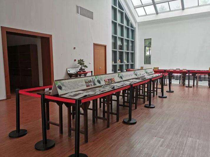 上海植物园的盆景历史回顾展