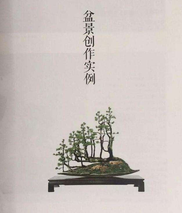 赵庆泉老师的新书《盆景创作笔记》