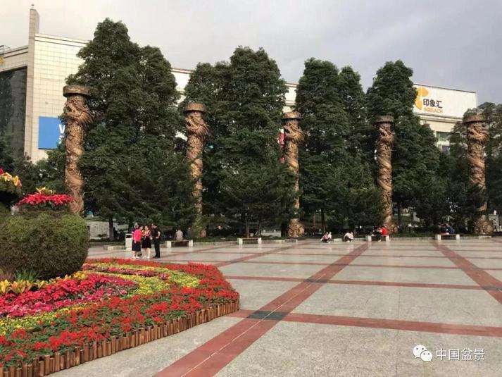 重庆市国庆盆景花艺展精彩亮相