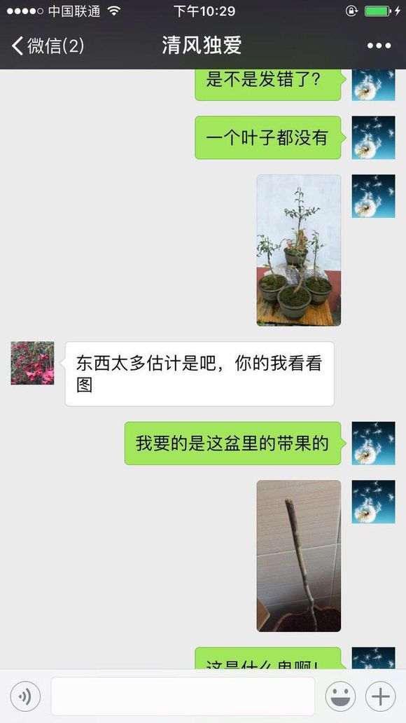 一个卖金丝吊蝴蝶下山桩的骗子