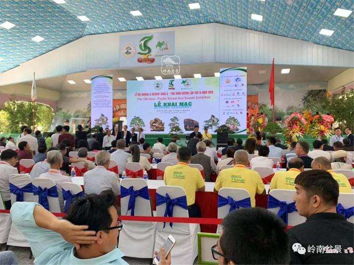 第15届亚太盆景赏石博览会在越南胡志明市举行