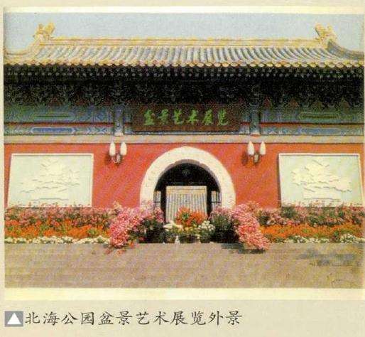 1979年 北京首届盆景展 图片