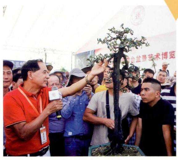 广东省盆协还会进一步完善盆景评审的标准