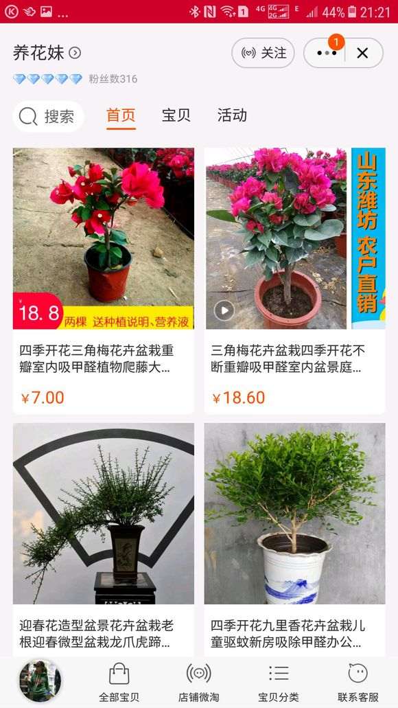 请问有紫霞仙子这种三角梅盆栽吗 Penjing8 盆景吧