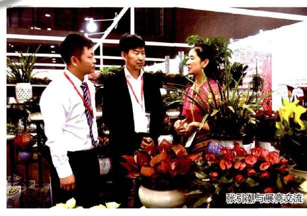 2019年 广州国际盆栽植物展览会 图片