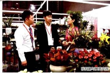2019年 广州国际盆栽植物展览会 图片
