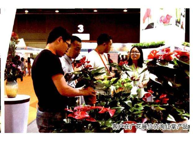 广州举办家庭园艺盆栽展览会 图片