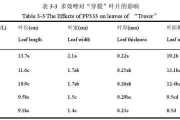 多效唑对百合盆栽叶片的影响 图片