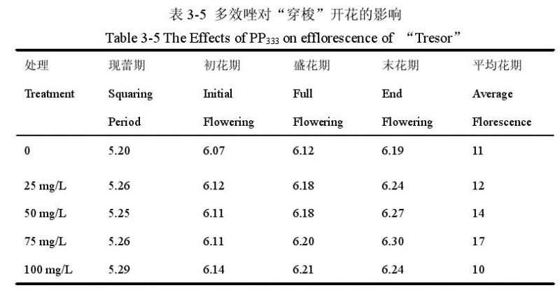 多效唑对百合盆栽啊花期的影响 图片