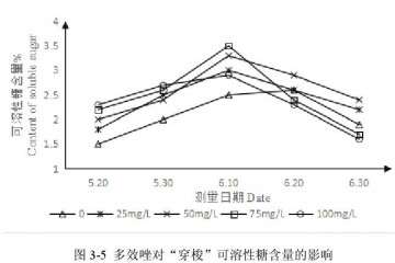 多效唑对百合盆栽可溶性糖含量的影响