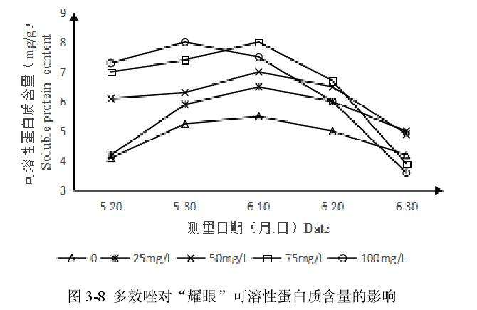 多效唑对百合盆栽可溶性蛋白含量的影响