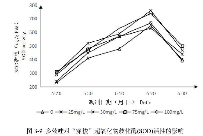 多效唑对百合盆栽超氧化物歧化酶活性的影响