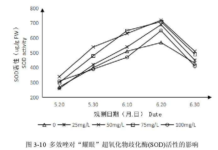 多效唑对百合盆栽超氧化物歧化酶活性的影响