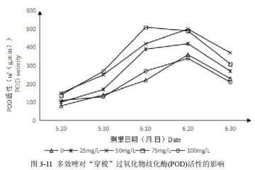 多效唑对百合盆栽过氧化物酶活性的影响