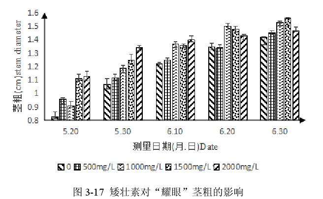 矮壮素对百合盆栽茎粗的影响 图片