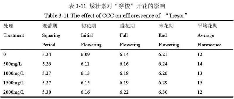 矮壮素对百合盆栽花期的影响 图片