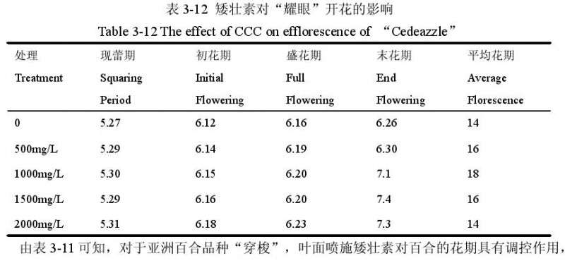 矮壮素对百合盆栽花期的影响 图片