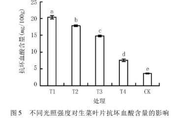 不同光照强度对生菜盆栽单株产量的影响