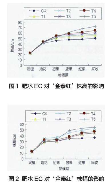 肥水EC对辣椒盆栽株高 株幅的影响